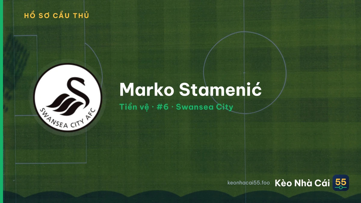 Marko Stamenić — Swansea City