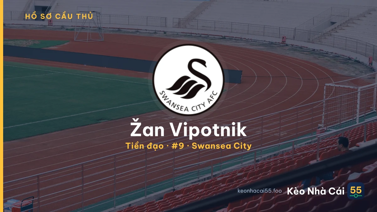 Žan Vipotnik — Swansea City