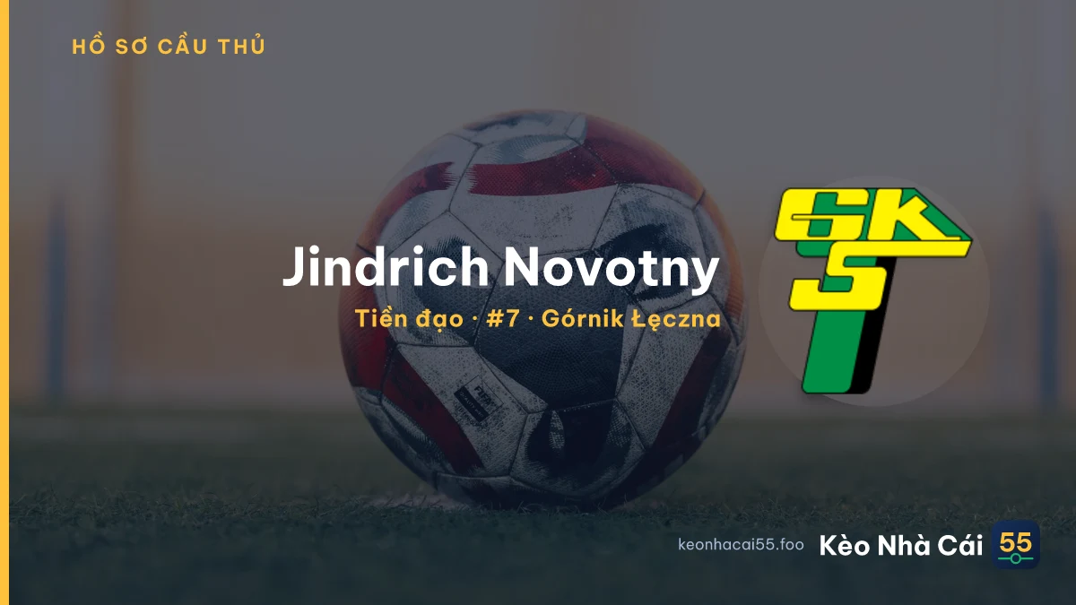 Jindrich Novotny — Górnik Łęczna