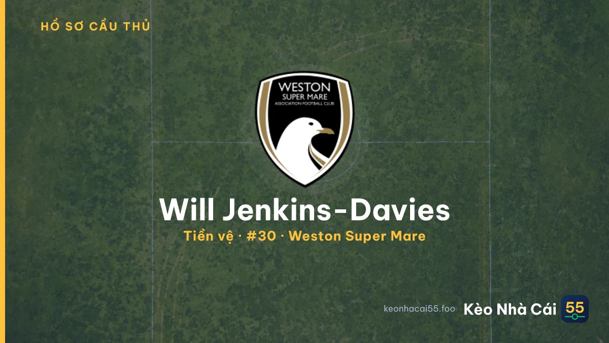 Will Jenkins-Davies — Weston Super Mare