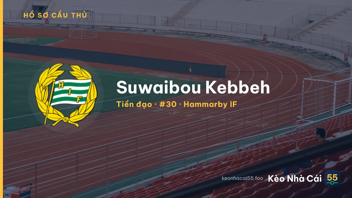 Suwaibou Kebbeh — Hammarby IF