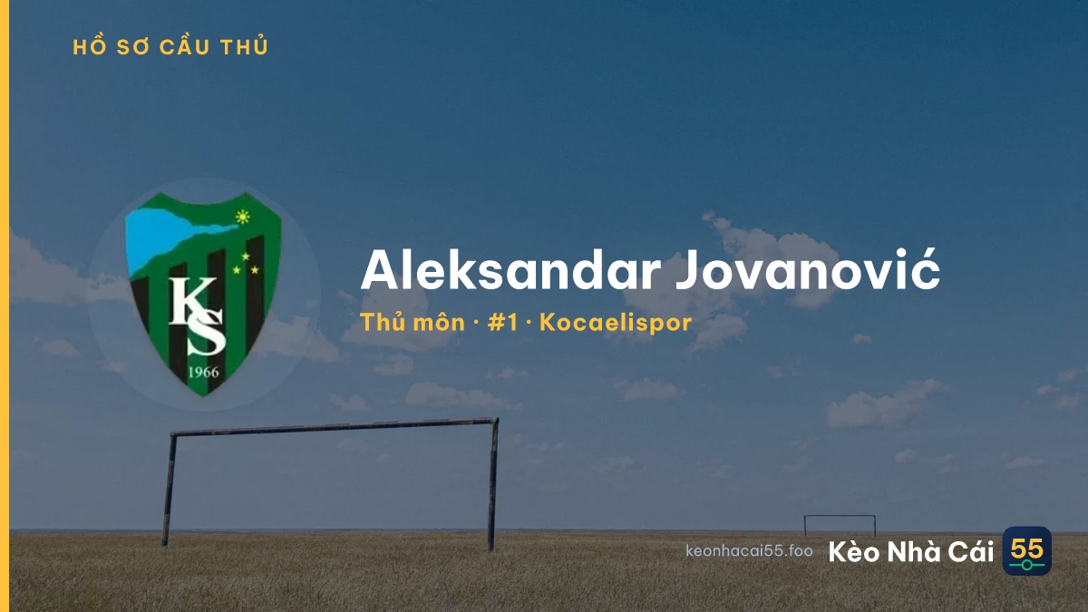 Aleksandar Jovanović — Kocaelispor