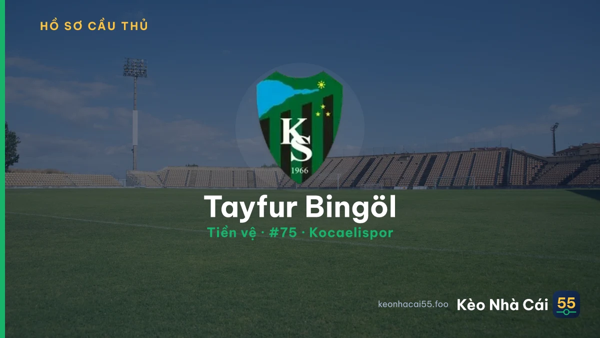 Tayfur Bingöl — Kocaelispor