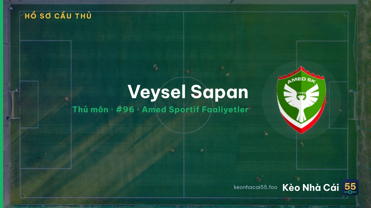 Veysel Sapan — Amed Sportif Faaliyetler