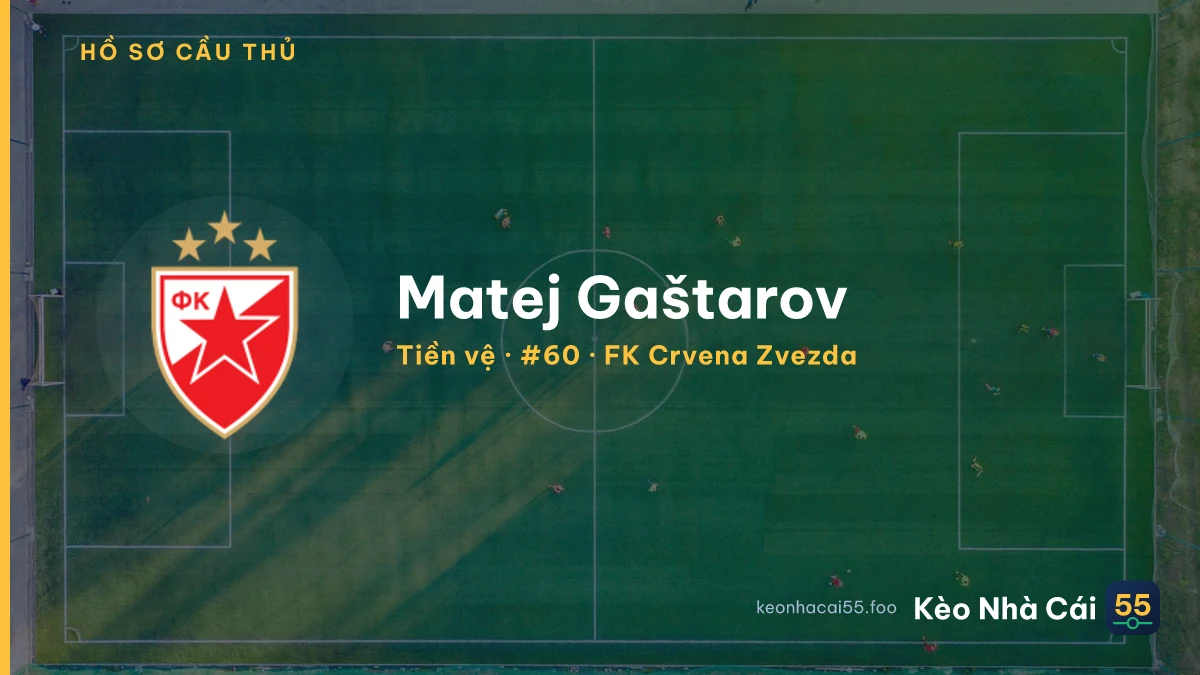 Matej Gaštarov — FK Crvena Zvezda