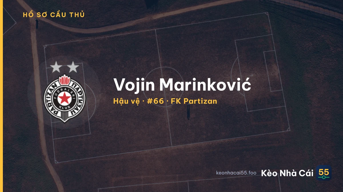 Vojin Marinković — FK Partizan