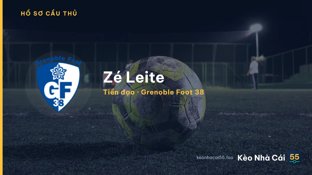 Zé Leite — Grenoble Foot 38