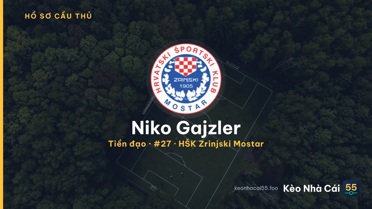 Niko Gajzler — HŠK Zrinjski Mostar