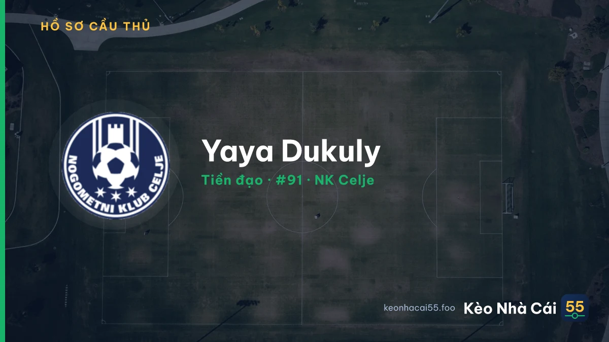 Yaya Dukuly — NK Celje