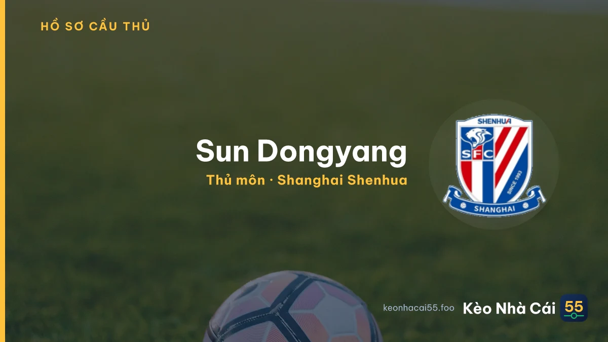 Sun Dongyang — Shanghai Shenhua