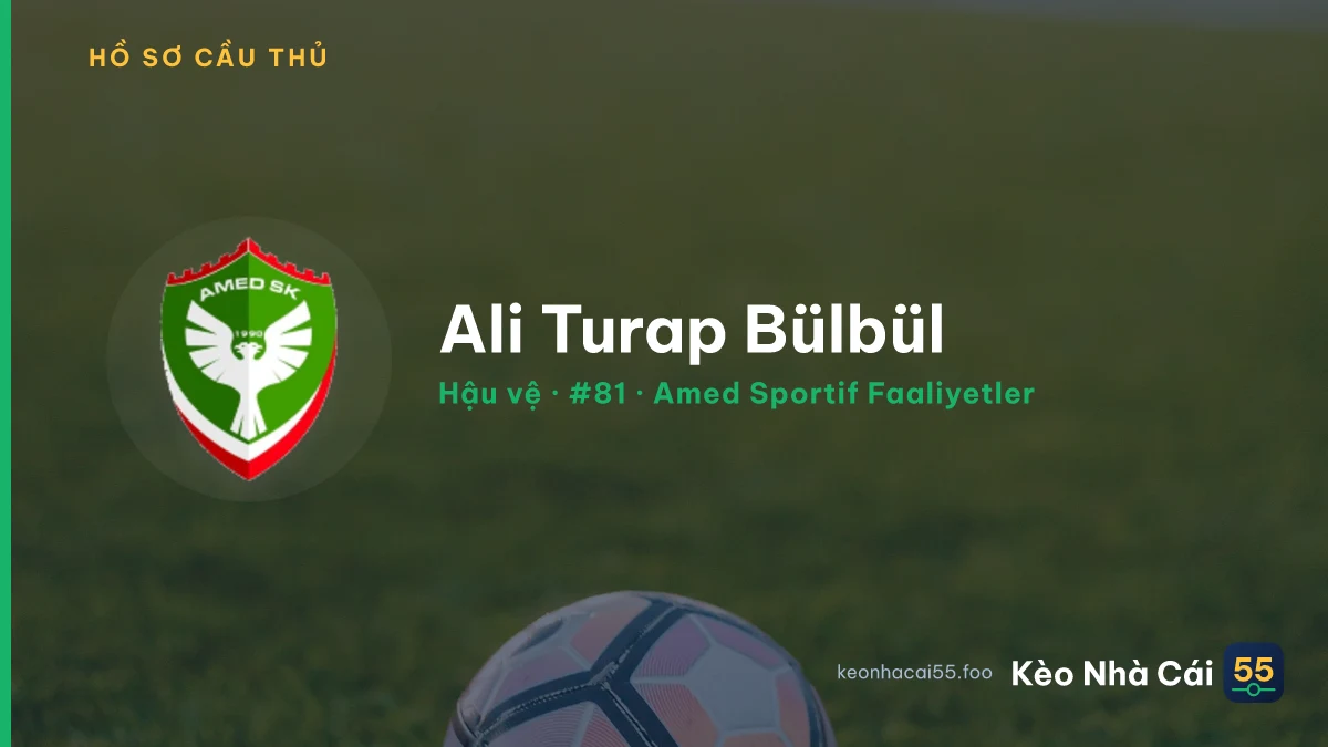 Ali Turap Bülbül — Amed Sportif Faaliyetler