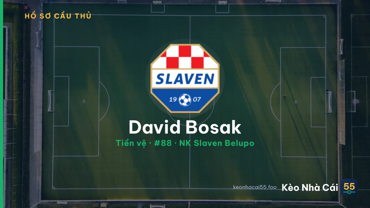 David Bosak — NK Slaven Belupo