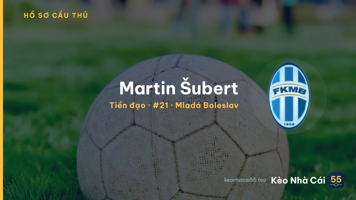 Martin Šubert — Mladá Boleslav