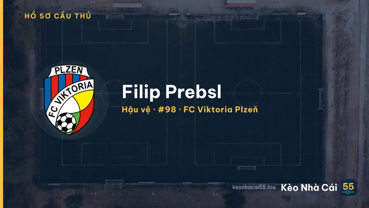 Filip Prebsl — FC Viktoria Plzeň