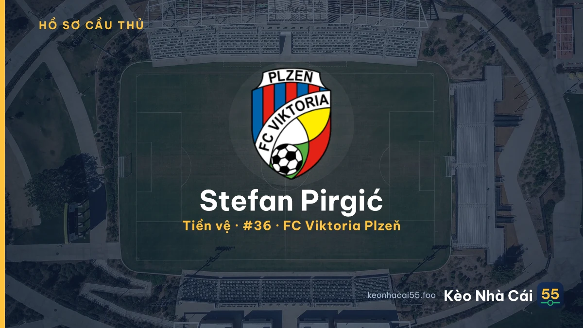 Stefan Pirgić — FC Viktoria Plzeň