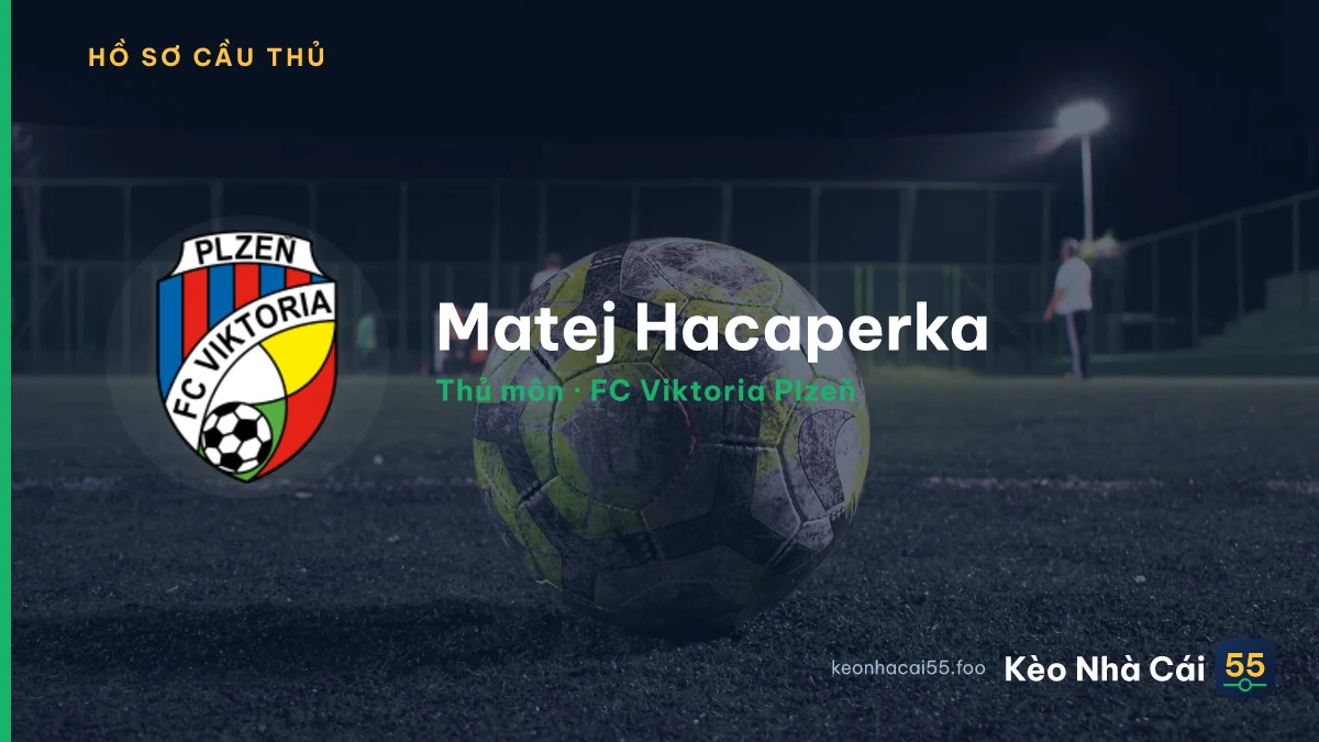 Matej Hacaperka — FC Viktoria Plzeň