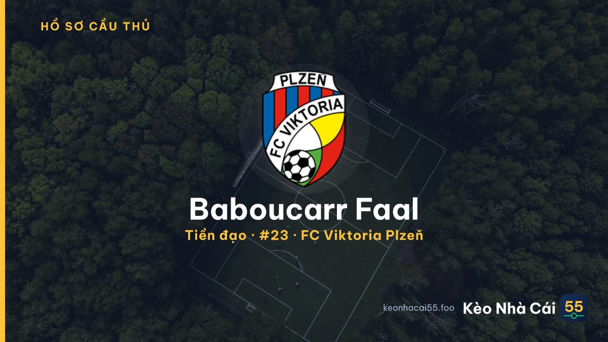 Baboucarr Faal — FC Viktoria Plzeň