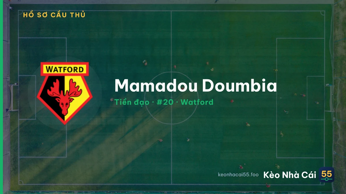 Mamadou Doumbia — Watford