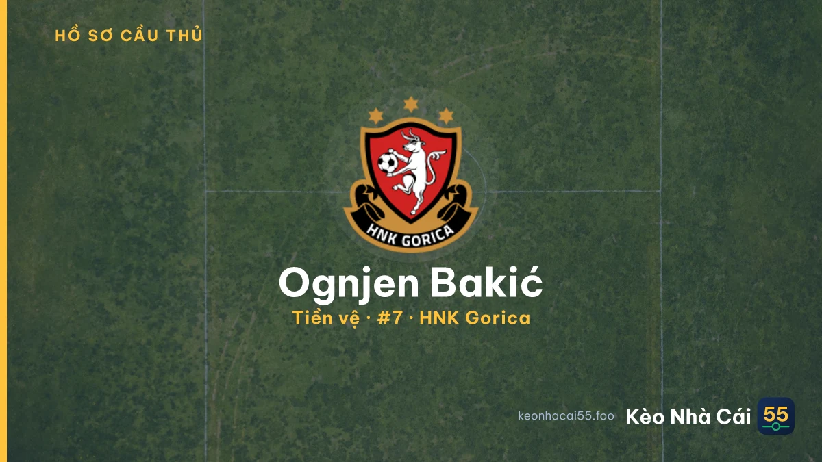 Ognjen Bakić — HNK Gorica