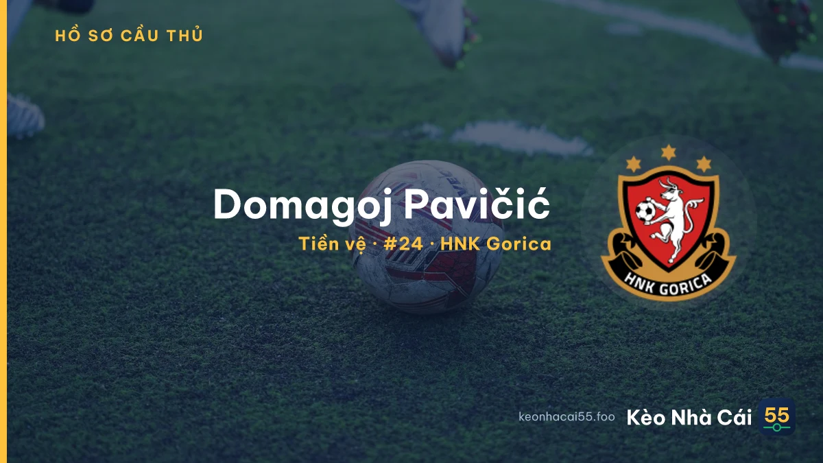 Domagoj Pavičić — HNK Gorica