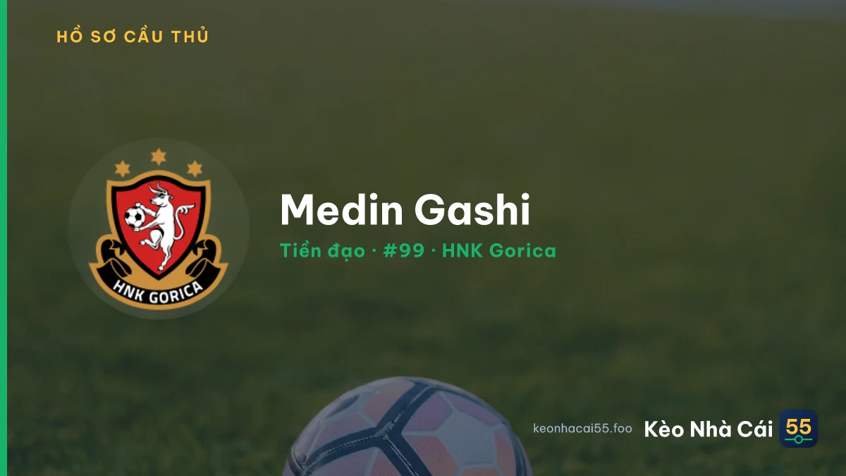 Medin Gashi — HNK Gorica
