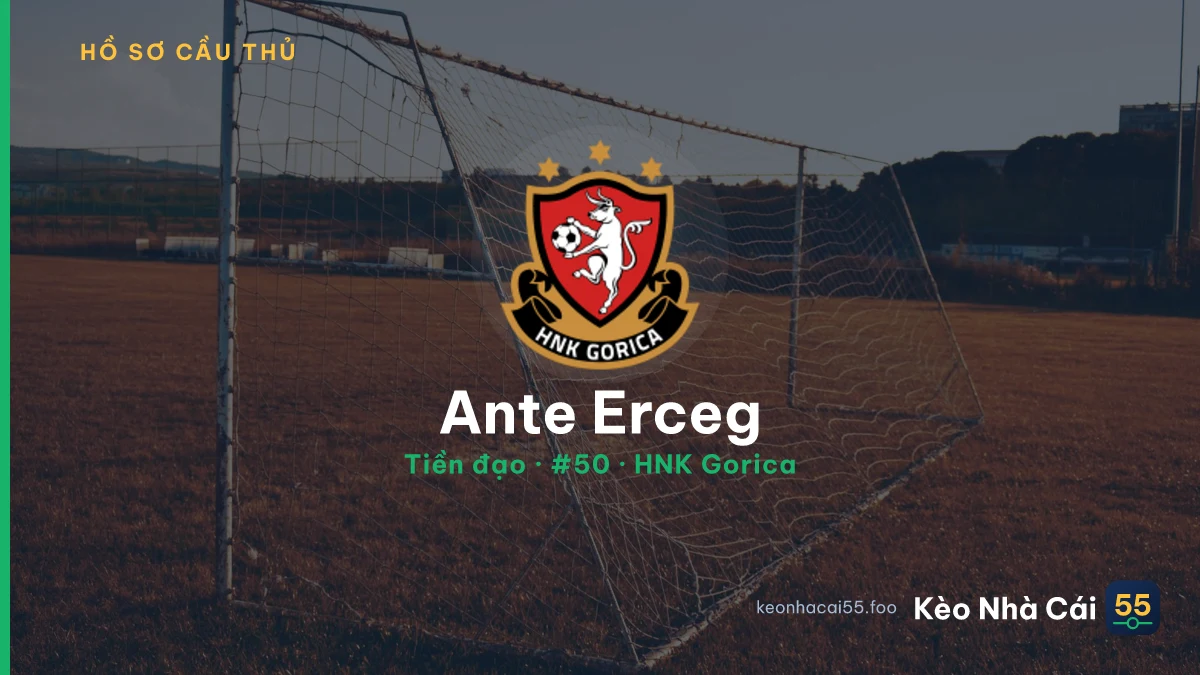 Ante Erceg — HNK Gorica