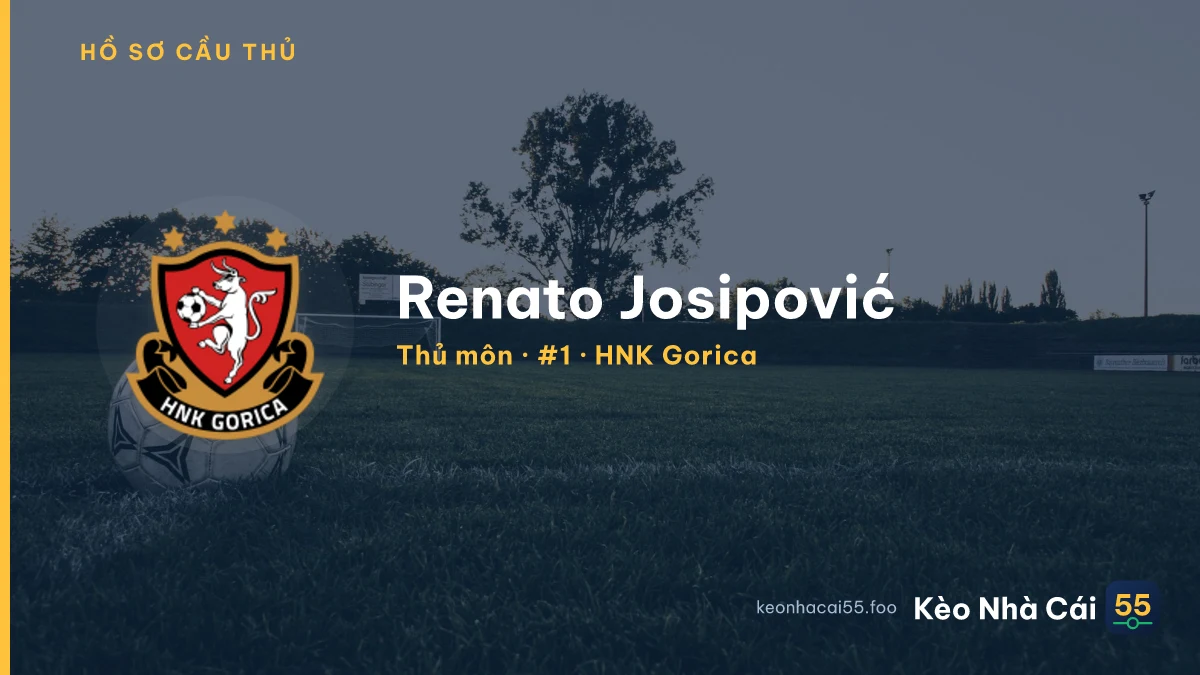 Renato Josipović — HNK Gorica