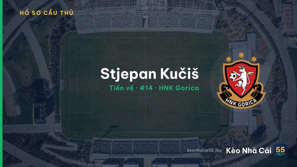 Stjepan Kučiš — HNK Gorica