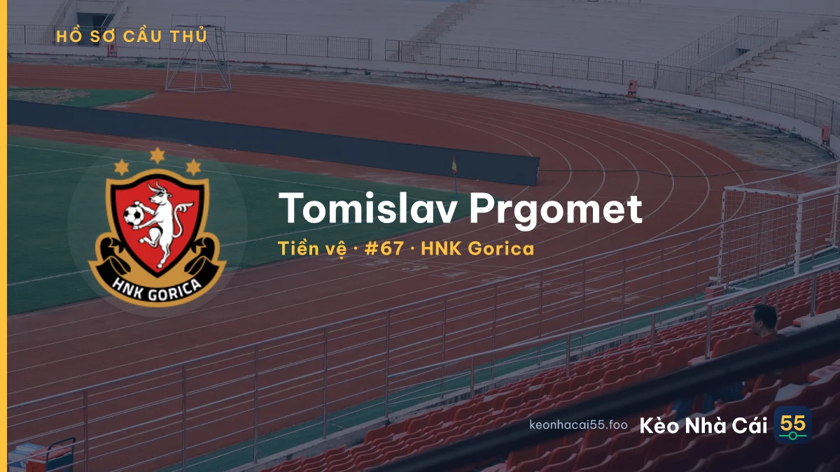 Tomislav Prgomet — HNK Gorica