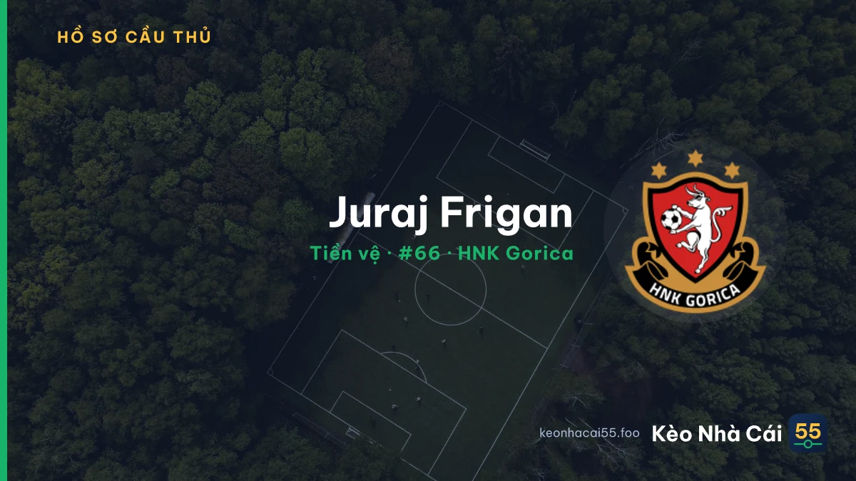 Juraj Frigan — HNK Gorica