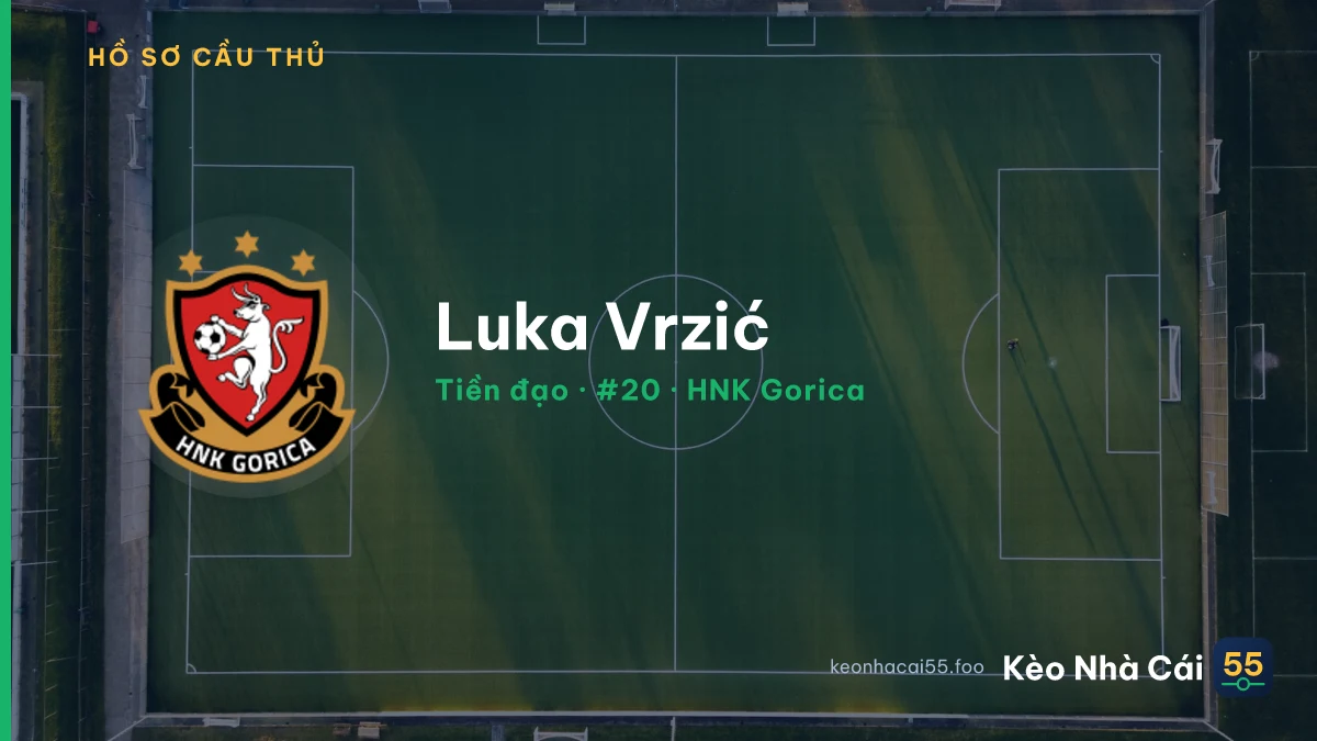 Luka Vrzić — HNK Gorica