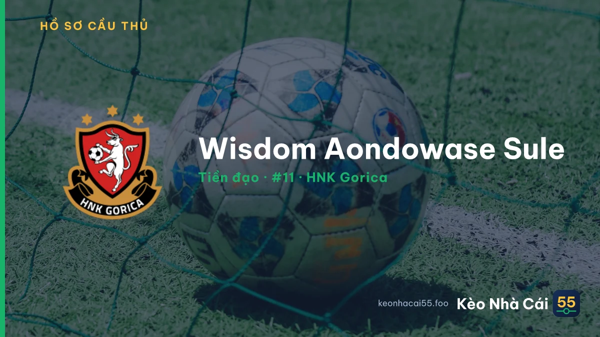 Wisdom Aondowase Sule — HNK Gorica