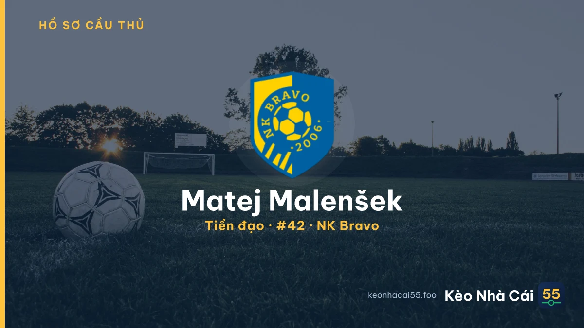 Matej Malenšek — NK Bravo