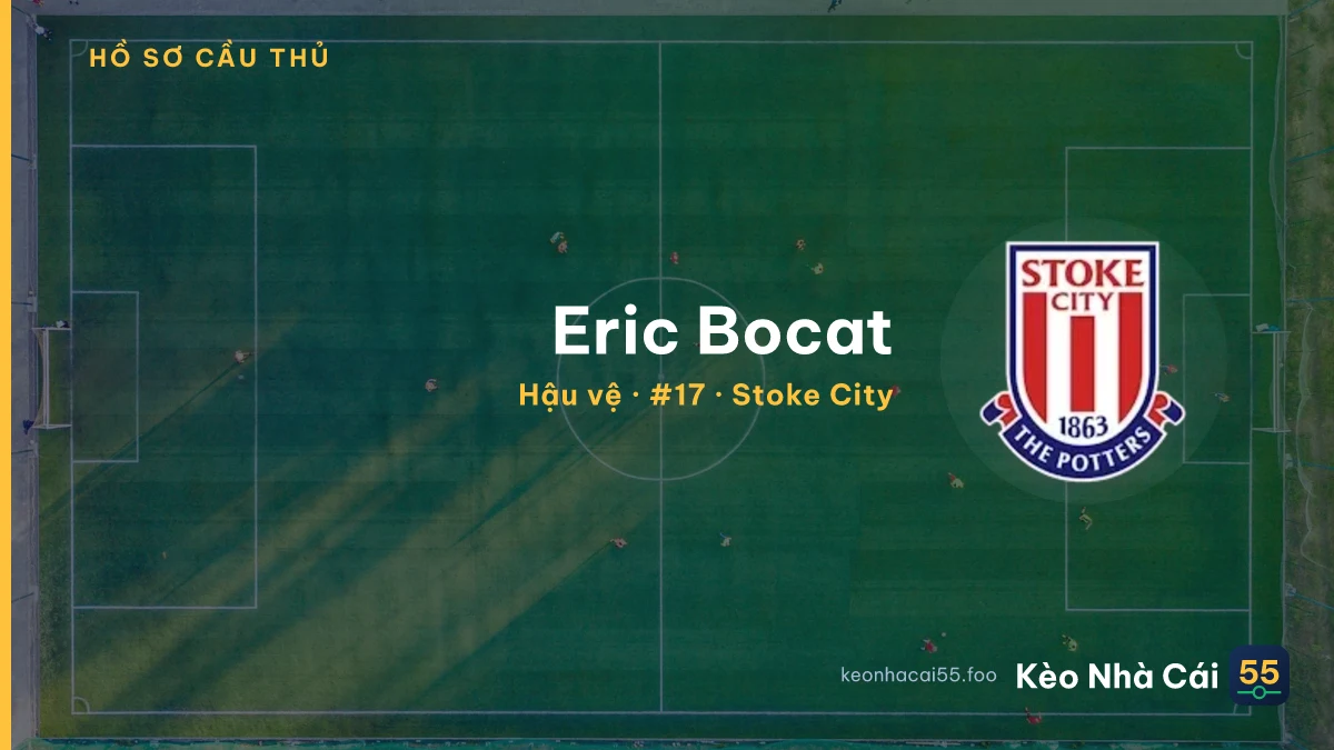 Eric Bocat — Stoke City