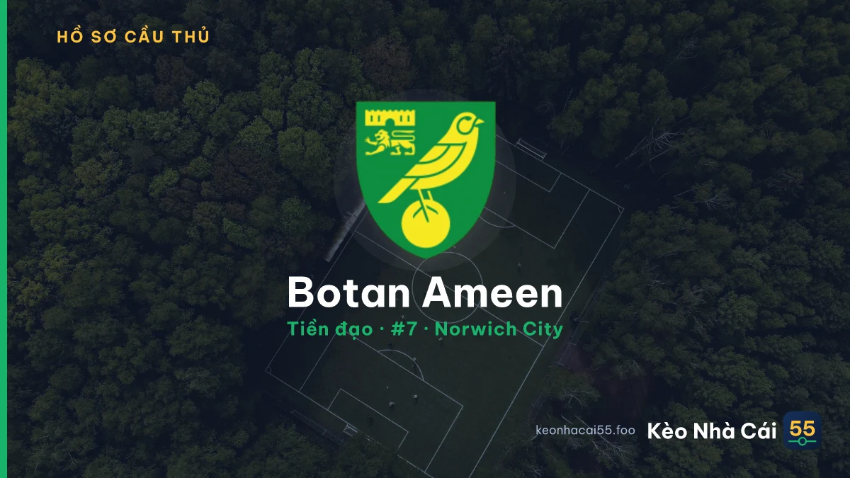 Botan Ameen — Norwich City