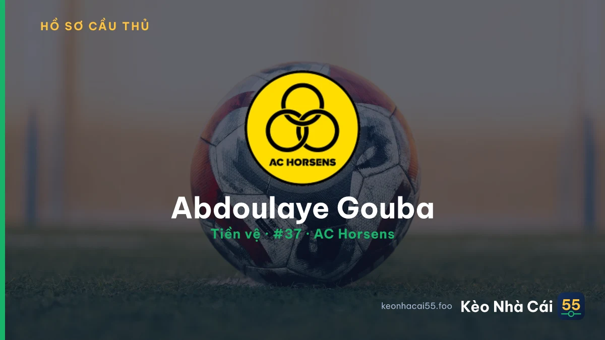 Abdoulaye Gouba — AC Horsens