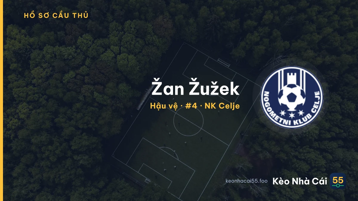 Žan Žužek — NK Celje