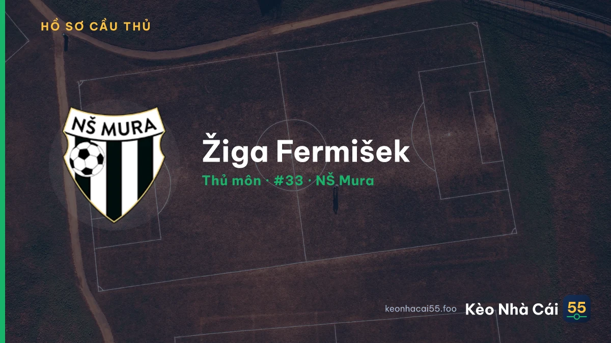 Žiga Fermišek — NŠ Mura