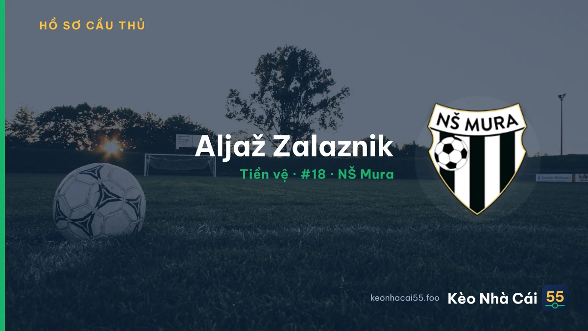 Aljaž Zalaznik — NŠ Mura