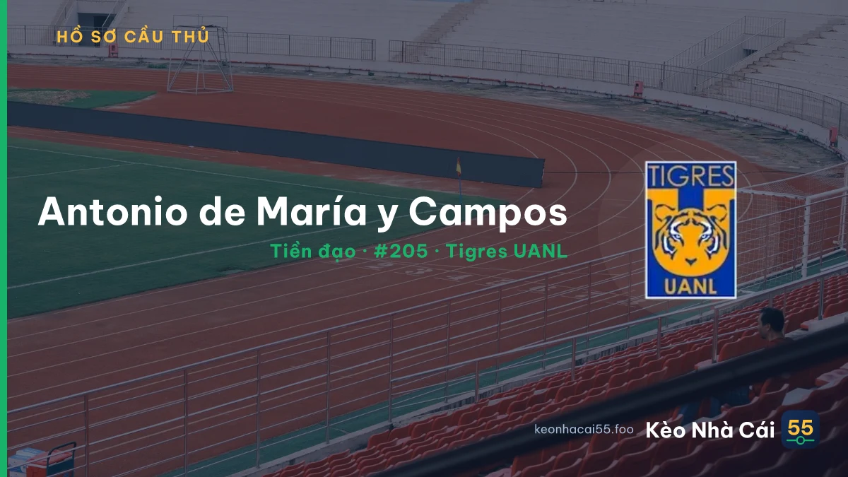 Antonio de María y Campos — Tigres UANL