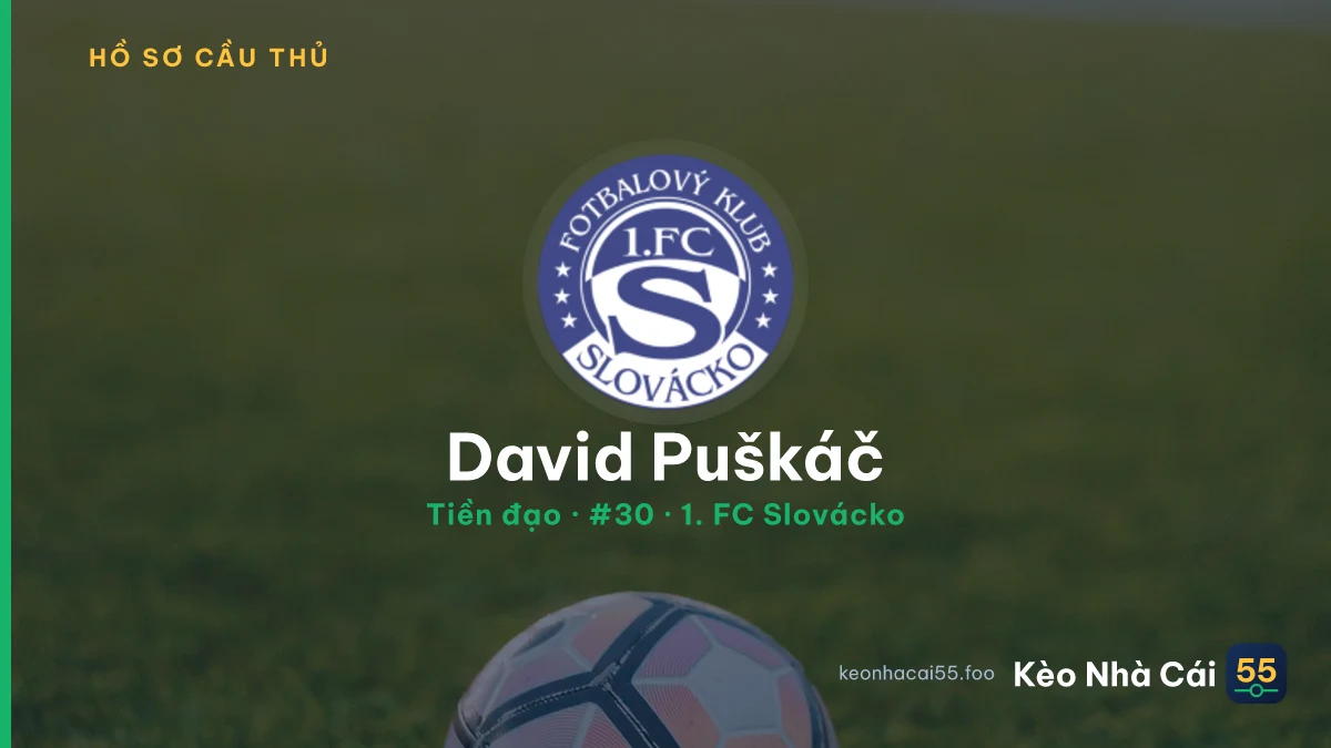 David Puškáč — 1. FC Slovácko