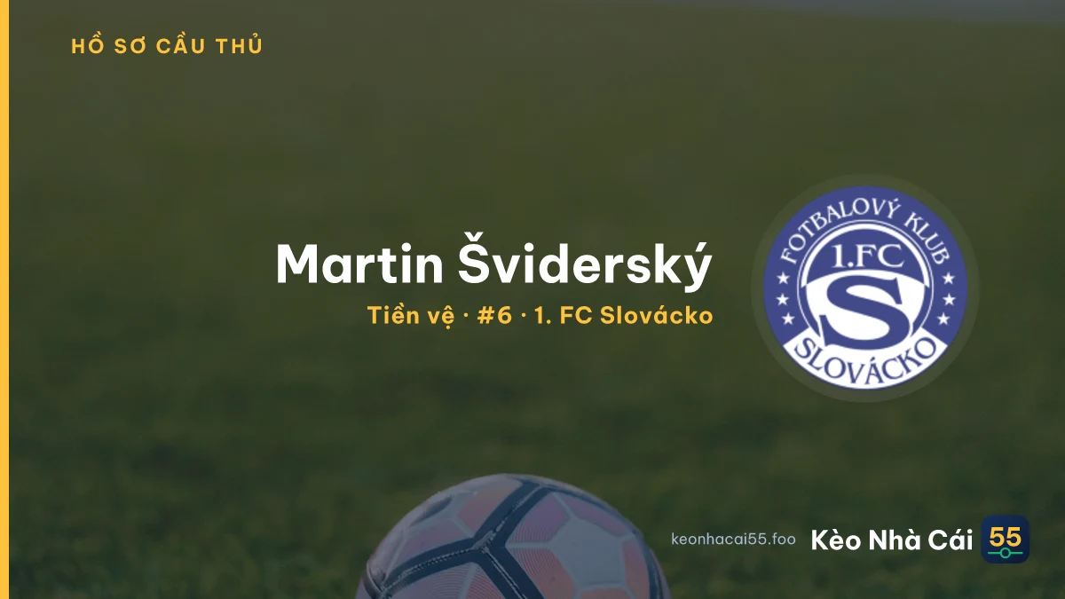 Martin Šviderský — 1. FC Slovácko