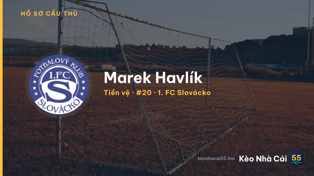 Marek Havlík — 1. FC Slovácko