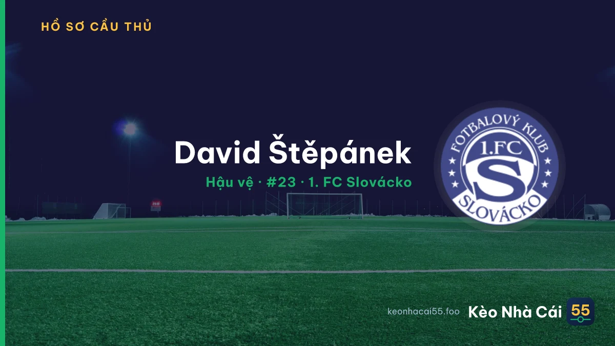 David Štěpánek — 1. FC Slovácko