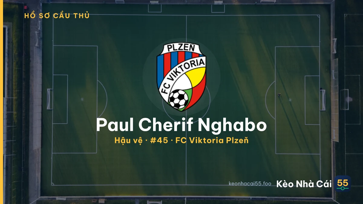 Paul Cherif Nghabo — FC Viktoria Plzeň