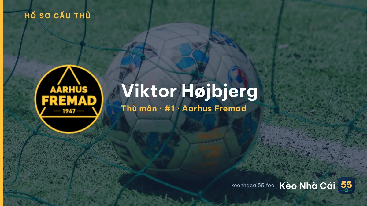 Viktor Højbjerg — Aarhus Fremad