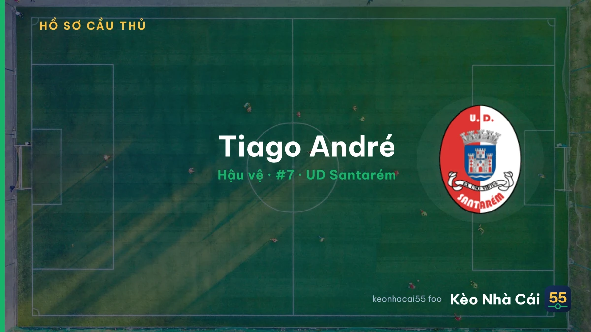 Tiago André — UD Santarém