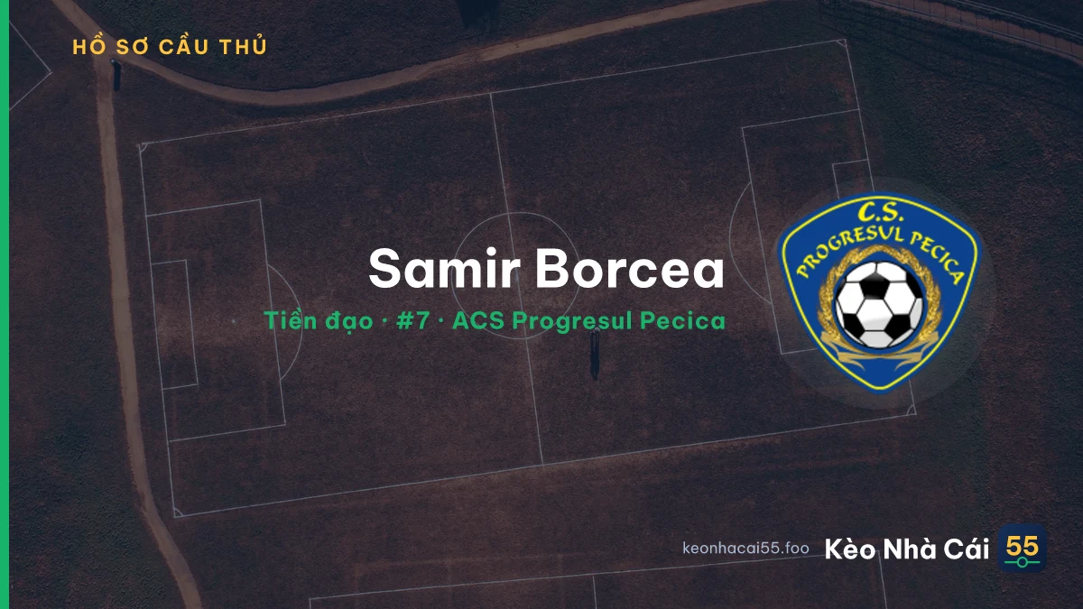 Samir Borcea — ACS Progresul Pecica