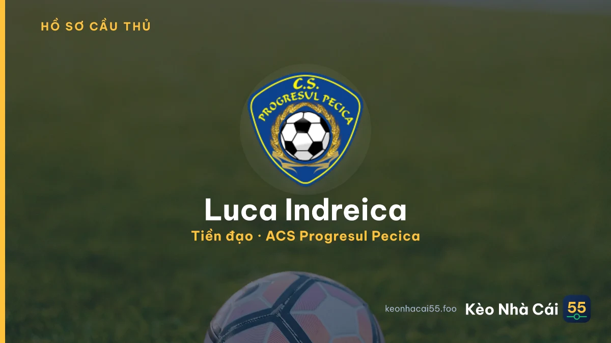 Luca Indreica — ACS Progresul Pecica