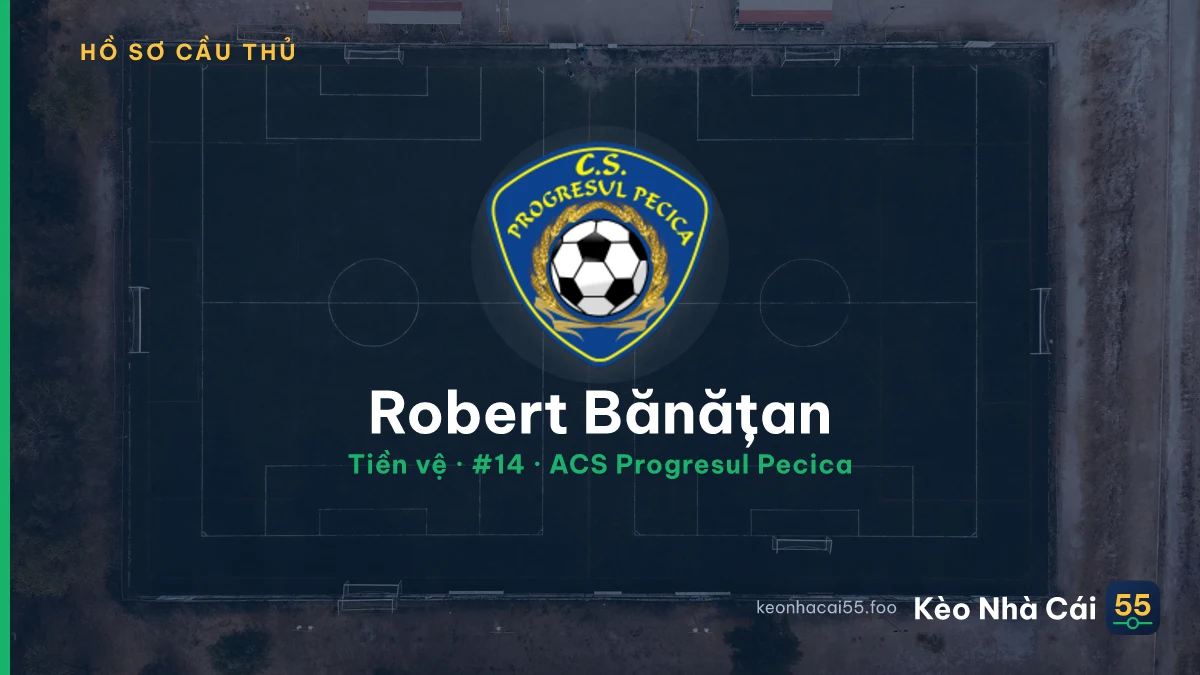 Robert Bănățan — ACS Progresul Pecica